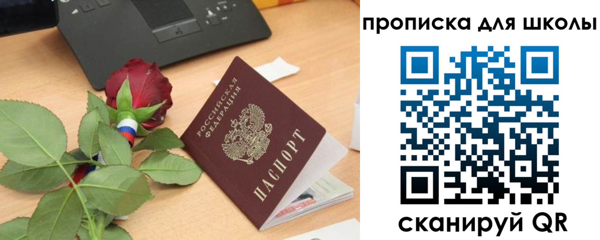 прописка паспорт в Луге